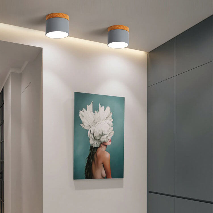 Macaroon LED flush ceiling light detail