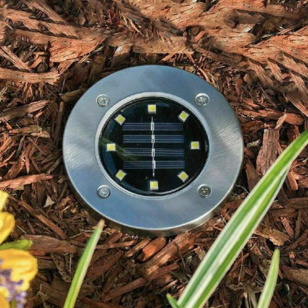 Solar ground lights along a garden path