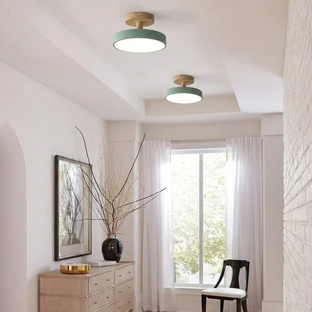 Sage green macaron ceiling light