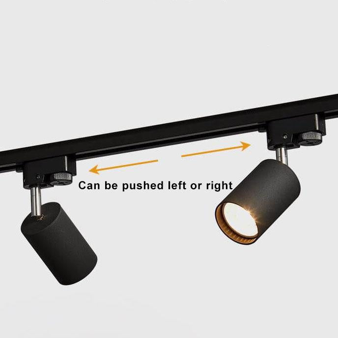Track spotlight head detail