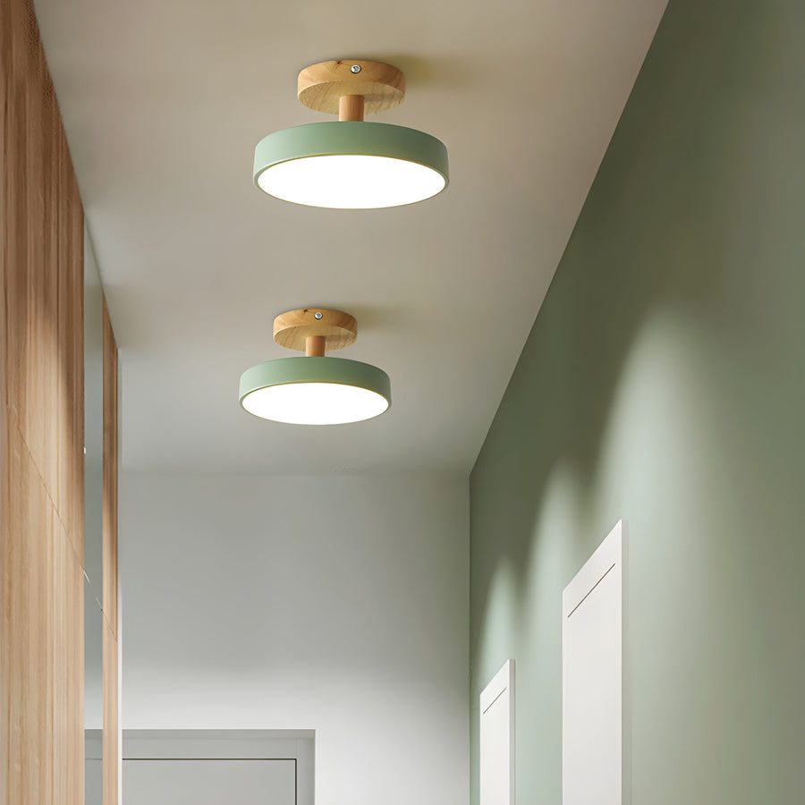 Macaron flush ceiling lights in pastel colours